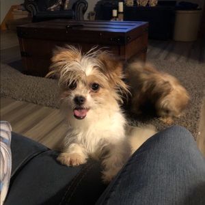 Meet your Posher, Marcy